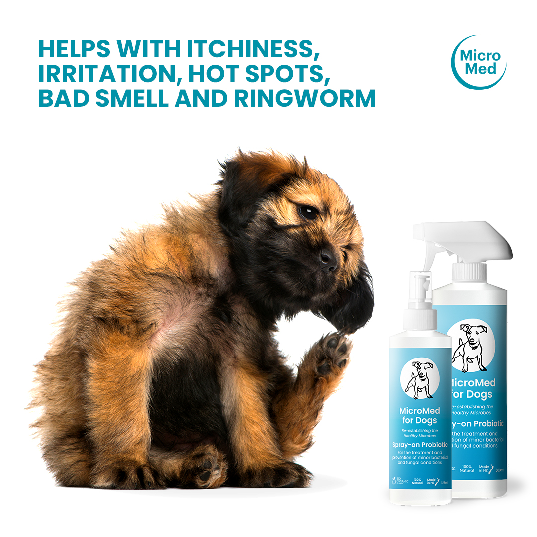 MicroMed for Dogs